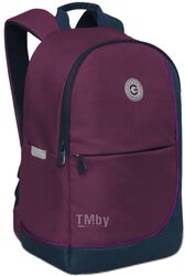 Школьный рюкзак Grizzly RD-345-2 (фиолетовый/синий)