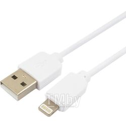Кабель Гарнизон GCC-USB2-AP2-6-W AM (белый)