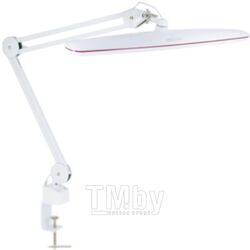 Настольная лампа Anatomica Smart-406W (белый)