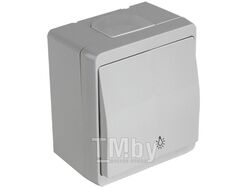 Выключатель кнопочный, самовозвратный (открытый) серый, NEMLIYER, MUTLUSAN (10 A, 250 V, IP 44)