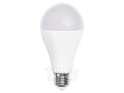 Лампа светодиодная A65 СТАНДАРТ 20 Вт PLED-LX 220-240В Е27 5000К JAZZWAY