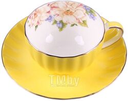 Чашка с блюдцем Darvish DV-H-529-05 (желтый)