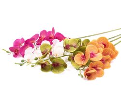 Цветок искусственный орхидея 100 см Belbohemia FL4013
