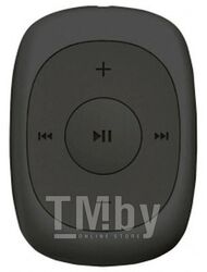 MP3 плеер Digma C2LG 4Gb (серый) [367272]