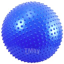 Гимнастический мяч Darvish DV-S-80