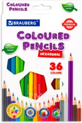 Набор цветных карандашей Brauberg Premium / 181659 (36цв)