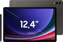 Планшет Samsung Galaxy Tab S9+ 12.4" 12/256Gb Wifi Gray SM-X810NZAACAU