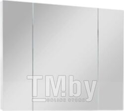 Шкаф с зеркалом для ванной Belux Триумф ВШ100 (18, белый матовый)