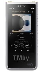MP3 плеер Sony NW-ZX507, серебряный