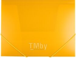 Папка для бумаг Darvish DV-055R (желтый)