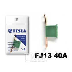 Предохранители картириджного типа 40A FJ13 serie 32V DC (5 шт) TESLA FJ13.040.005