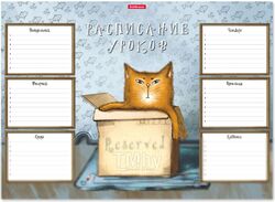 Расписание уроков Erich Krause Cat & Box / 49708