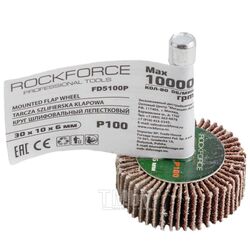 Круг шлифовальный лепестковый (P100, 30х10мм, цанга 6мм, max 10 000 об/мин) Rock FORCE RF-FD5100Р