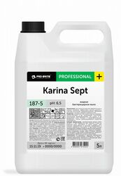 Жидкое бактерицидное мыло Karina Sept (Карина Септ) 5л Pro-Brite 187-5