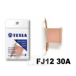 Предохранители картириджного типа 30A FJ12 serie 32V DC (5 шт) TESLA FJ12.030.005