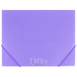 Папка на резинке А4 Ice фиолетовая Darvish DV-09715IE-PR