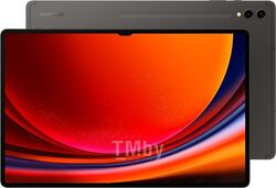Планшет Samsung Galaxy Tab S9Ultra 14.6" 12Gb/1Tb Wifi Gray SM-X910NZAICAU