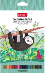 Набор цветных карандашей Hatber Colora / CS 063838 (18цв)