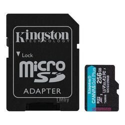 Память (flash-карты) KINGSTON SDCG3/256GB