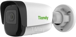 IP-камера Tiandy TC-C34WS Spec:I5W/E/Y/4mm/V4.2