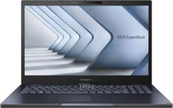 Ноутбук ASUS ExpertBook B2 B2502CV (B2502CVA-BQ0303X)