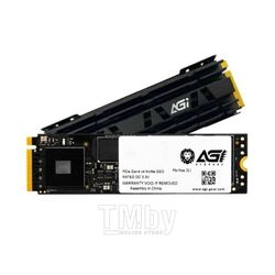 Твердотельный накопитель (SSD) AGI AI198 256GB AGI256G16AI198