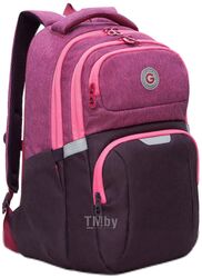 Рюкзак Grizzly RD-342-1 (фиолетовый/розовый)