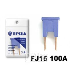Предохранители картириджного типа 100A FJ15 serie 32V DC (5 шт) TESLA FJ15.100.005