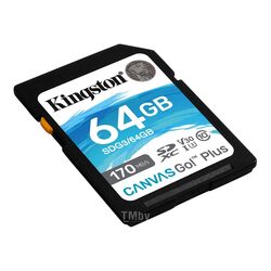 Память (flash-карты) KINGSTON SDG3/64GB