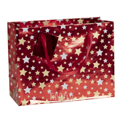 Пакет бумажный подарочный 32*13*24 см "Premium Santa2" Clairefontaine 212903C