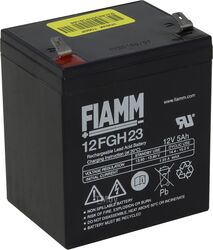 Аккумуляторная батарея FIAMM 12FGH23 (12В/5 А/ч)