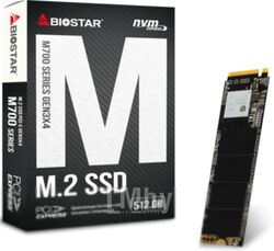 SSD диск Biostar M700-512GB