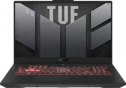 Игровой ноутбук Asus TUF Gaming A17 FA707RR-HX001
