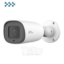 IP-камера ZKTeco BL-852T50A-S6