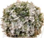 Искусственное растение Green Fly Самшит Невеста / СА-1-22