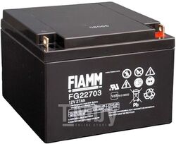 Аккумуляторная батарея FIAMM FG22703 (12В/27 А/ч)