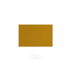 Бумага для пастели "Tiziano" А4, 160 г/м2, песочный Fabriano 21297106