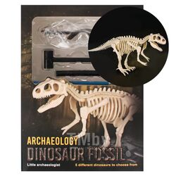 Набор "Раскопки динозавра". Игрушка Darvish DV-T-3037