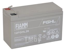 Аккумуляторная батарея FIAMM 12FGHL28 (12В/7.2 А/ч)