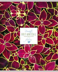 Тетрадь Проф-Пресс Яркие цветы / 48-3097 (48л, клетка)
