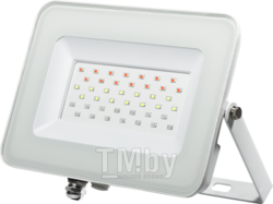 Прожектор светодиодный PFL-RGB-WH 30w IP65 Jazzway драйвер в комплекте (Цветной+ пульт в комплекте, угол освещения 100с)