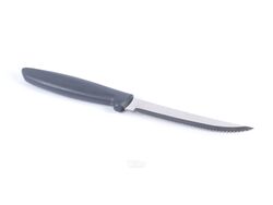 Нож металлический "Plenus" с пластмассовой ручкой 22 см (арт. 23410465)