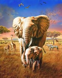 Картина по номерам Kolibriki Африканские слоны 40x50 VA-3746