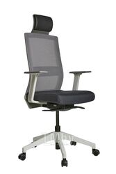 Кресло ортопедическое Duorest SQ-200C_W 7SMY1 / 7SDG1 серый
