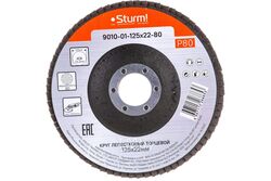 Шлифовальный круг Sturm! 9010-01-125x22-80