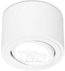 Точечный светильник Ambrella TN222 WH/S (белый/песок)