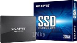 SSD диск Gigabyte 256GB (GP-GSTFS31256GTND)