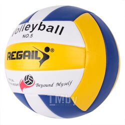 Мяч волейбольный Darvish RVB-001 / DV-S-28