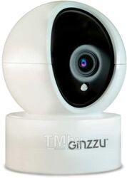 Камера видеонаблюдения WiFi 2Mp SP2305, 3.6mm, P/T, IR 10м Ginzzu HWD-2301A