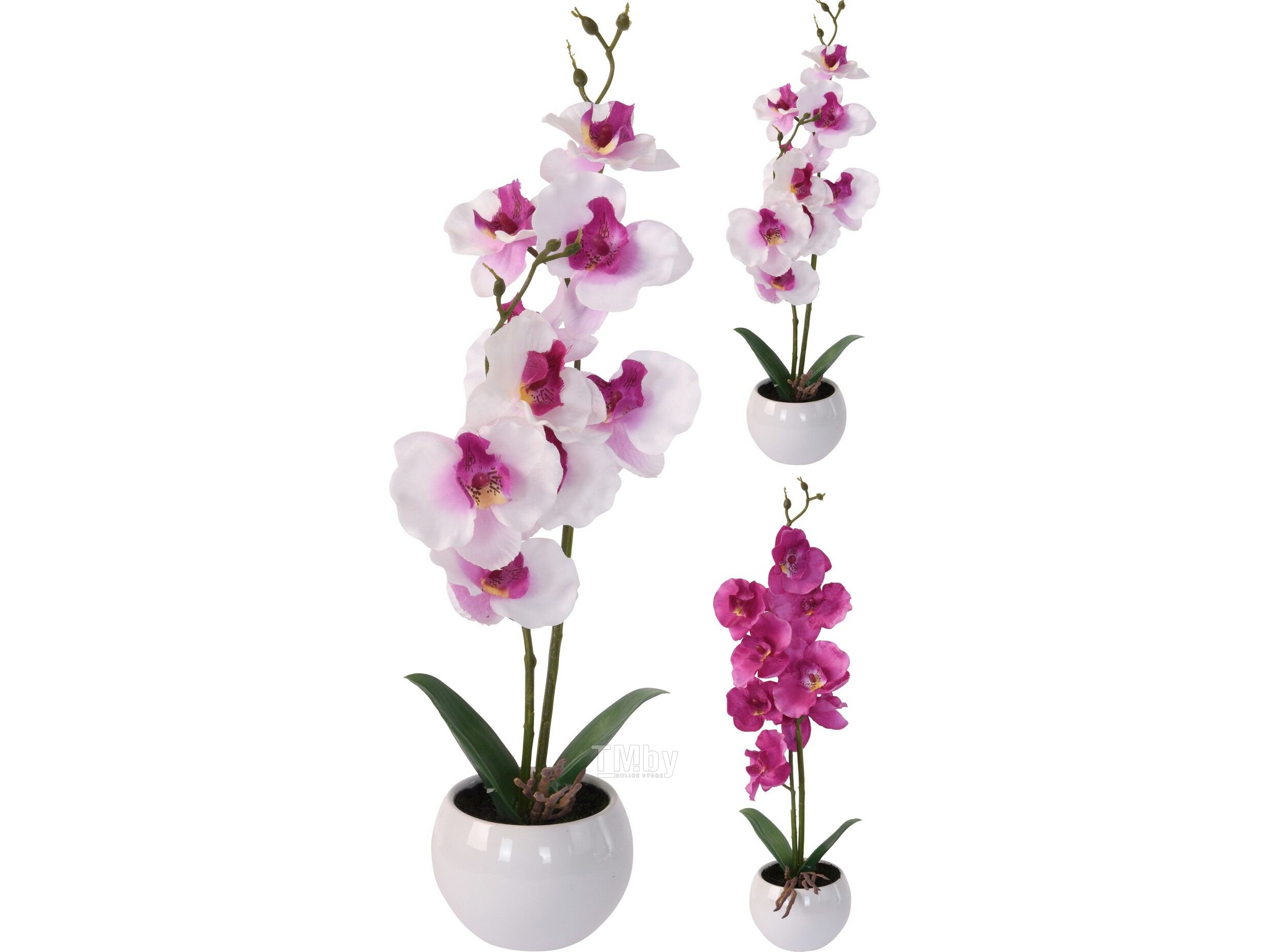 Купить орхидею в горшке авито. Цветок искусственный 231218 "Орхидея" в горшке 11,5*11,5*43см (р). Орхидея в горшке. Искусственная Орхидея в горшке. Искусственные орхидеи в кашпо в интерьере.
